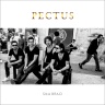 Pectus - Szkoła marzeń