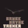 Tacher - Bruce Wayne