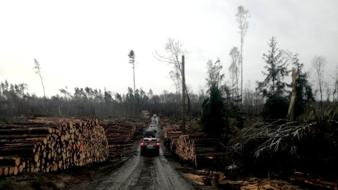 Leśnicy odwiedzają najbardziej zniszczone nadleśnictwa w regionie