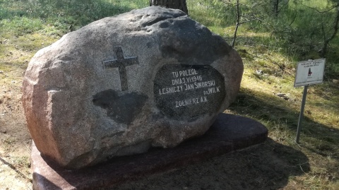 Obelisk Wilka w Lipinkach
