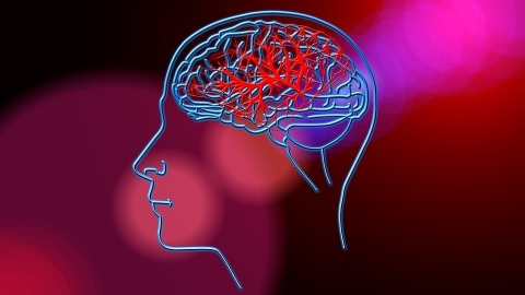Neurolodzy: udar mózgu to zagrożenie życia konieczne wezwanie karetki