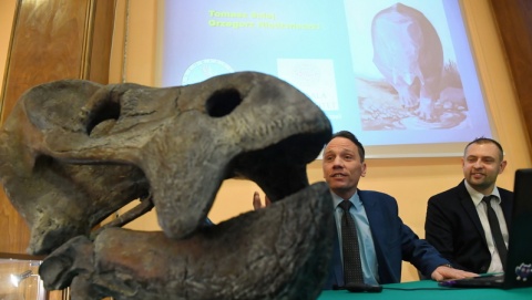 Największy znany gad ssakokształtny żył na terenie Śląska