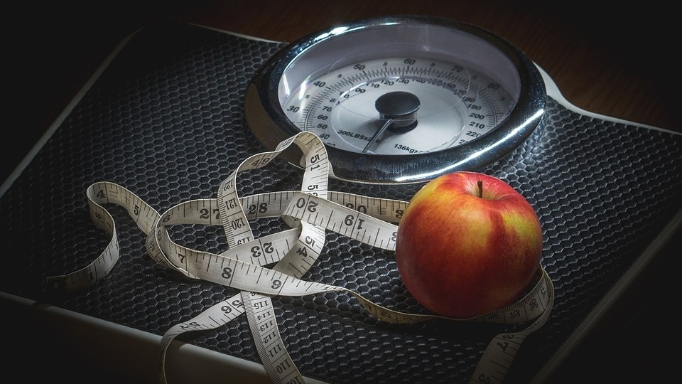 Plaga otyłości i nadwagi stanowi coraz większe problem w różnych rejonach świata, także w Polsce. Fot. ilustracyjna/pixabay.com