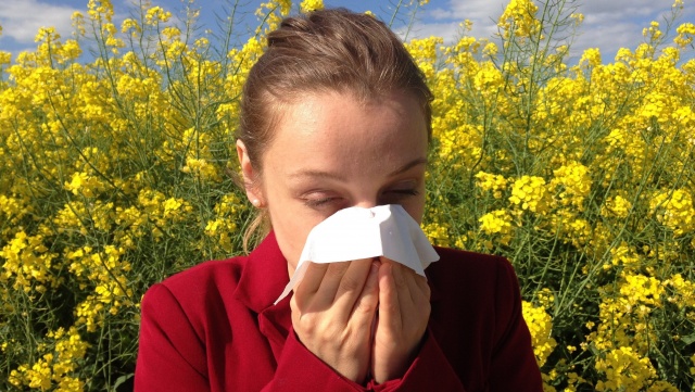 Eksperci: odczulanie to jedyna metoda, która może wyleczyć z alergii