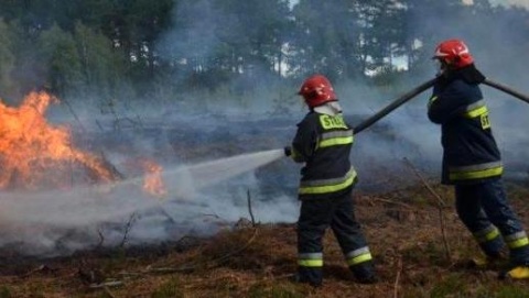 Przypadkowe pożary Jest nagroda za pomoc w schwytaniu podpalacza lasu
